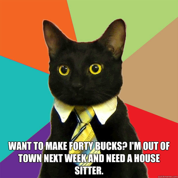  Want to make forty bucks? I'm out of town next week and need a house sitter.  Business Cat