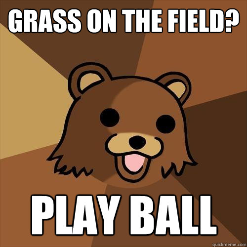 GRASS ON THE FIELD? PLAY BALL  Pedobear