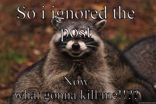 SO I IGNORED THE POST NOW WHAT GONNA KILL ME!!?? Evil Plotting Raccoon