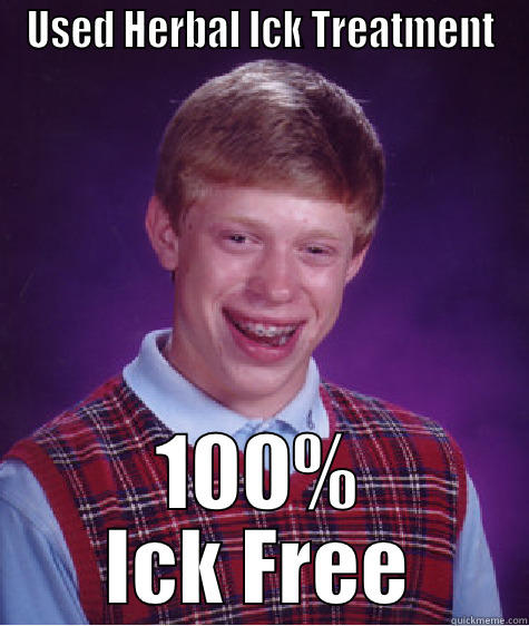 Used Herbal Ick Treatment - USED HERBAL ICK TREATMENT 100% ICK FREE Bad Luck Brian