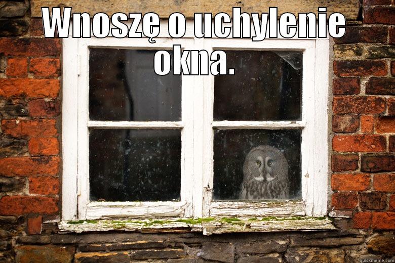 WNOSZĘ O UCHYLENIE OKNA.  Misc