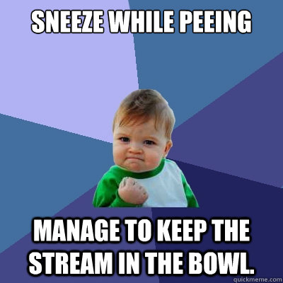 Sneeze while peeing Manage to keep the stream in the bowl. - Sneeze while peeing Manage to keep the stream in the bowl.  Success Kid