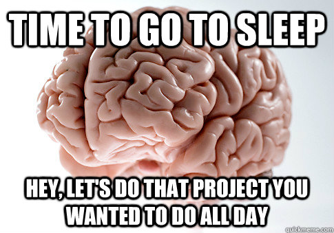 Time to go to sleep Hey, let's do that project you wanted to do all day  Scumbag Brain