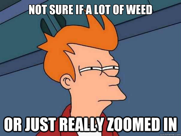 Not sure if a lot of weed or just really zoomed in  - Not sure if a lot of weed or just really zoomed in   Futurama Fry