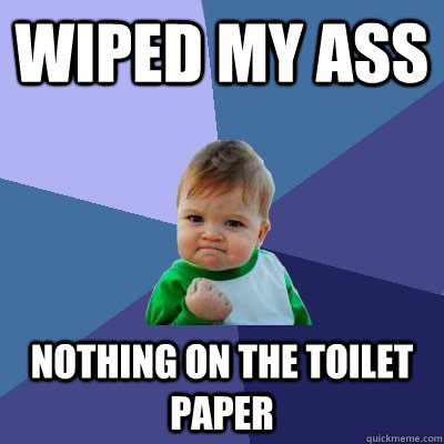 Wiped my ass nothing on the toilet paper  Success Kid