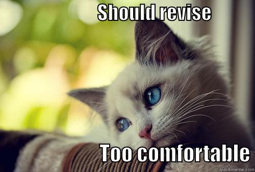                            SHOULD REVISE                                                           TOO COMFORTABLE First World Problems Cat