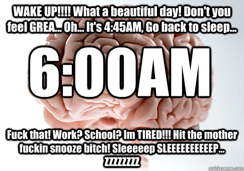 WAKE UP!!!! What a beautiful day! Don't you feel GREA... Oh... It's 4:45AM, Go back to sleep... Fuck that! Work? School? Im TIRED!!! Hit the mother fuckin snooze bitch! Sleeeeep SLEEEEEEEEEEP...  ZZZZZZZZ 6:00AM  Scumbag Brain