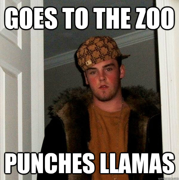 Goes to the zoo punches llamas - Goes to the zoo punches llamas  Scumbag Steve