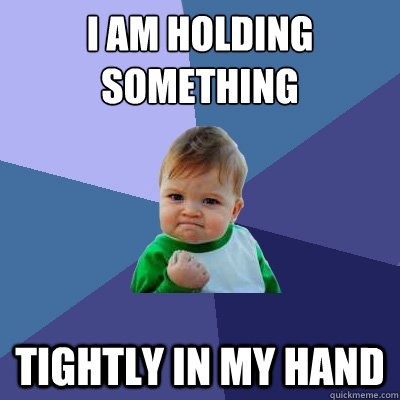 I am holding something Tightly in my hand  Success Kid