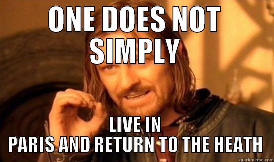 Kookoo Clym - ONE DOES NOT SIMPLY LIVE IN PARIS AND RETURN TO THE HEATH Boromir