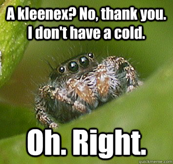 A kleenex? No, thank you. I don't have a cold. Oh. Right. - A kleenex? No, thank you. I don't have a cold. Oh. Right.  Misunderstood Spider