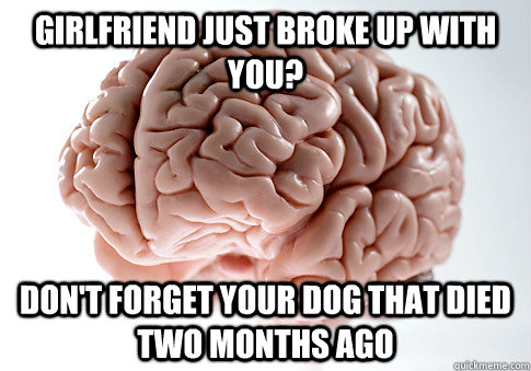 Girlfriend just broke up with you? Don't forget your dog that died two months ago  Scumbag Brain