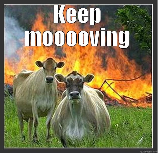 My original  title didn't look funny enough. - KEEP MOOOOVING  Evil cows