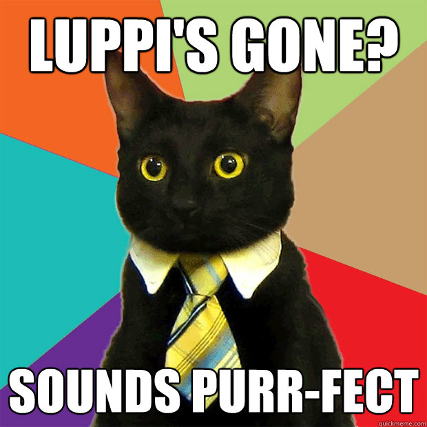 Luppi's gone? Sounds purr-fect  Business Cat