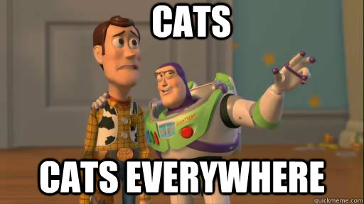 Cats cats eveRywhere - Cats cats eveRywhere  Everywhere