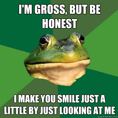 i'm gross, but be honest i make you smile just a little by just looking at me - i'm gross, but be honest i make you smile just a little by just looking at me  Foul Bachelor Frog