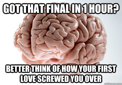 Got that final in 1 hour? Better think of how your first love screwed you over  Scumbag Brain