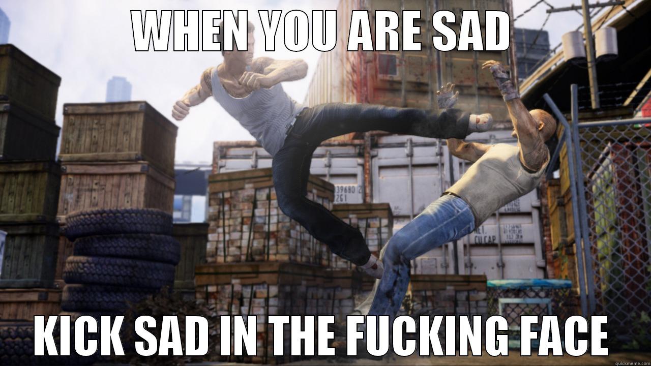 WHEN YOU ARE SAD KICK SAD IN THE FUCKING FACE Misc