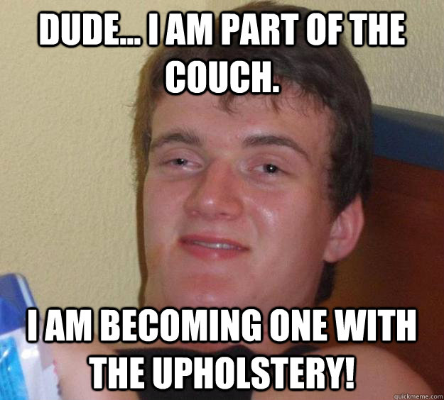 dude... I am part of the couch. i am becoming one with the upholstery!  10 Guy