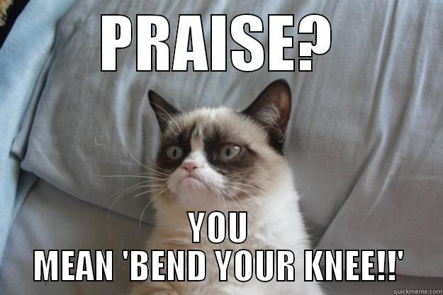 PRAISE? YOU MEAN 'BEND YOUR KNEE!!' Grumpy Cat