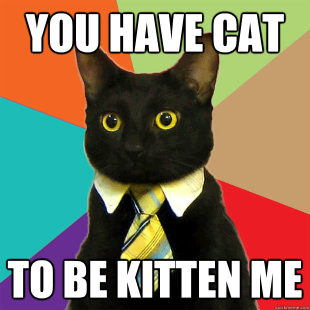 You have cat to be kitten me  Business Cat