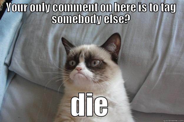 YOUR ONLY COMMENT ON HERE IS TO TAG SOMEBODY ELSE? DIE Grumpy Cat