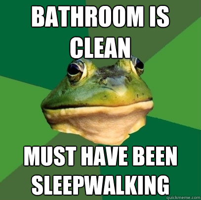 BATHROOM IS CLEAN MUST HAVE BEEN SLEEPWALKING  Foul Bachelor Frog