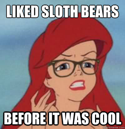 liked sloth bears before it was cool  Hipster Ariel