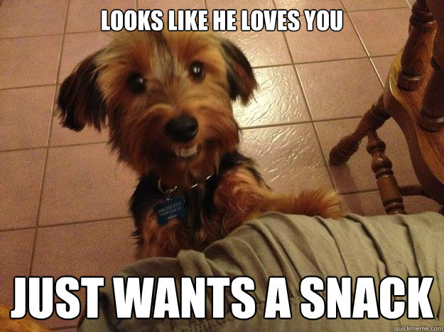 Looks like he loves you Just wants a snack  Tricky tricky