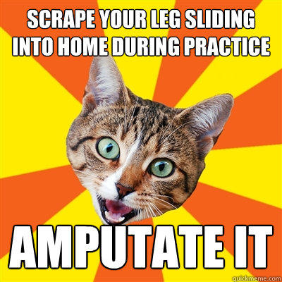 scrape your leg sliding into home during practice amputate it  Bad Advice Cat