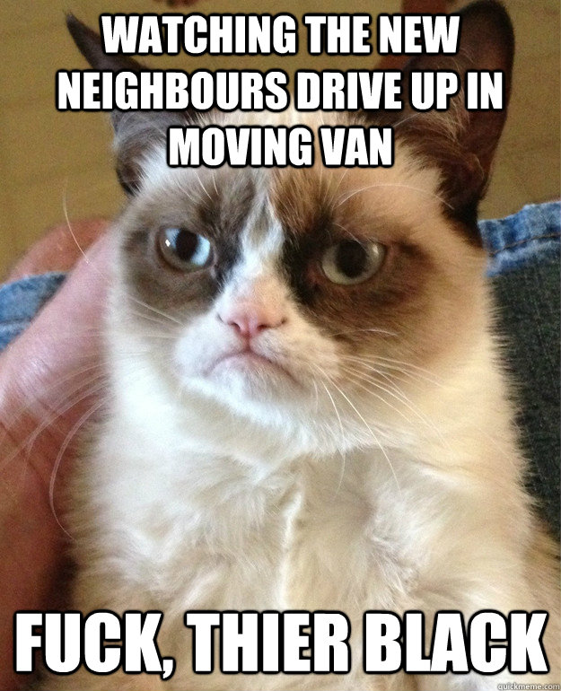 Watching the new neighbours drive up in moving van FUCK, thier black - Watching the new neighbours drive up in moving van FUCK, thier black  Grumpy Cat