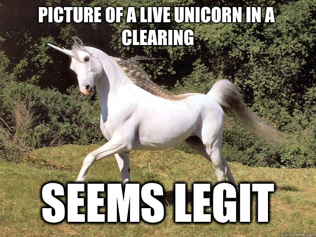 Picture of a live unicorn in a clearing Seems legit  Deadly Unicorn