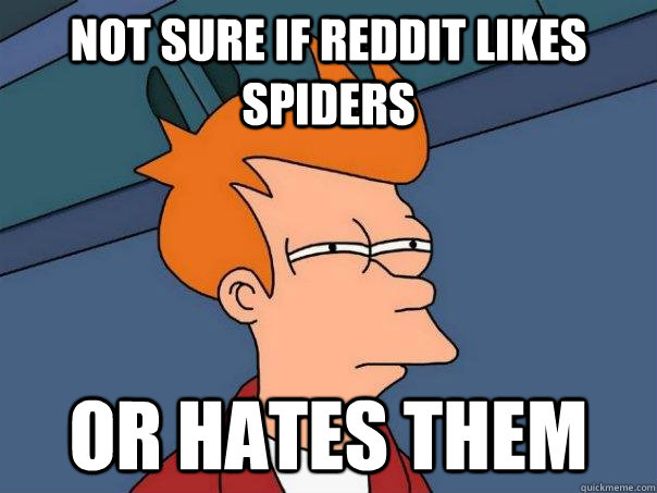 Not sure if Reddit likes spiders or hates them  Futurama Fry