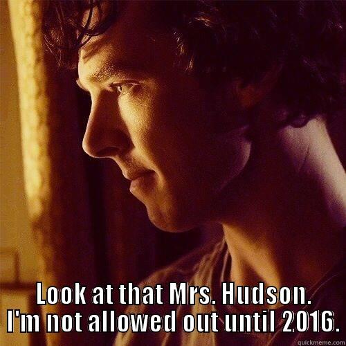   LOOK AT THAT MRS. HUDSON.  I'M NOT ALLOWED OUT UNTIL 2016. Misc