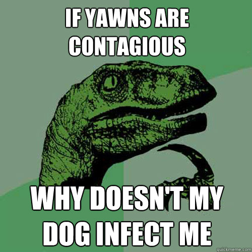 If yawns are contagious why doesn't my dog infect me  Philosoraptor