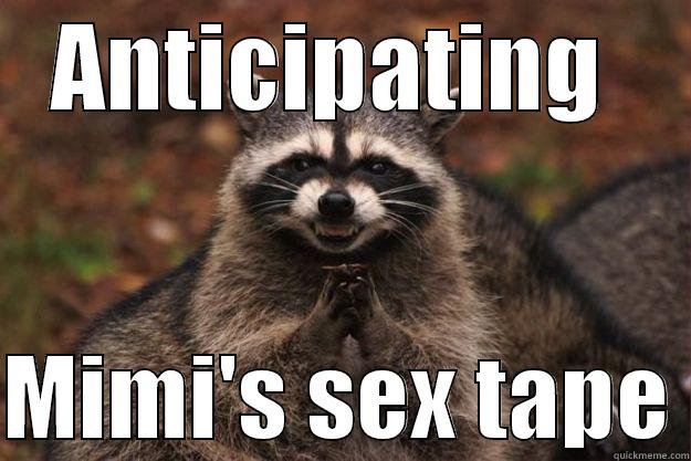 ANTICIPATING   MIMI'S SEX TAPE Evil Plotting Raccoon