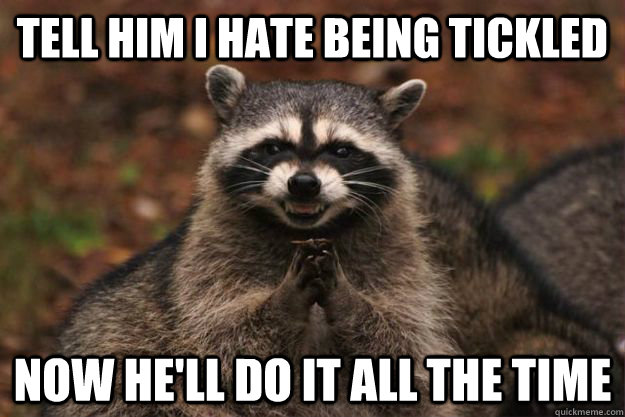 Tell him I hate being tickled Now he'll do it all the time  Evil Plotting Raccoon