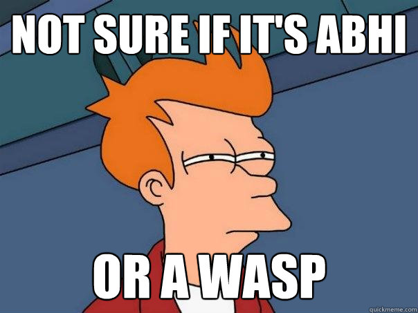 Not sure if it's abhi Or a wasp  Futurama Fry