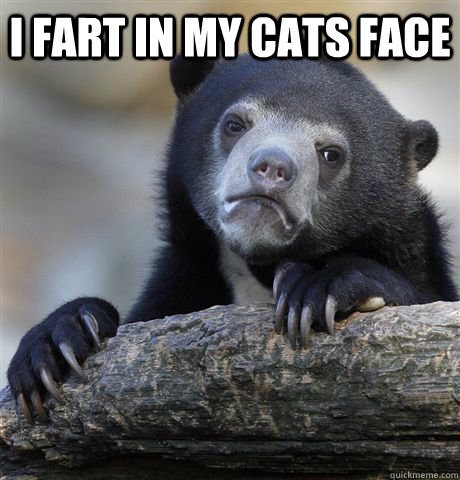 I fart in my cats face   Confession Bear