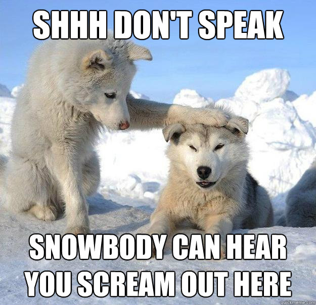 Shhh don't speak Snowbody can hear you scream out here  Caring Husky