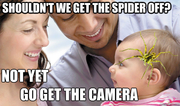 shouldn't we get the spider off? not yet
       go get the camera  Scumbag Parents