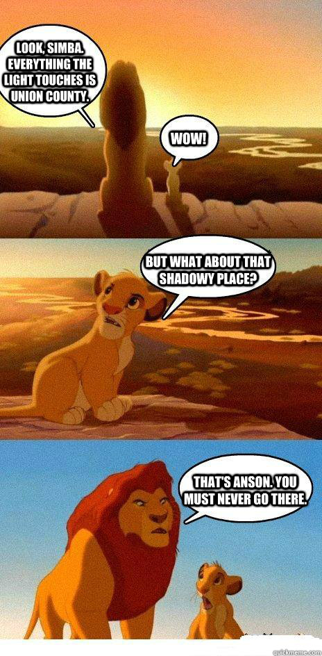 Look, Simba. Everything the light touches is Union County. Wow! But what about that shadowy place? That's Anson. you must never go there. - Look, Simba. Everything the light touches is Union County. Wow! But what about that shadowy place? That's Anson. you must never go there.  Simba Learns