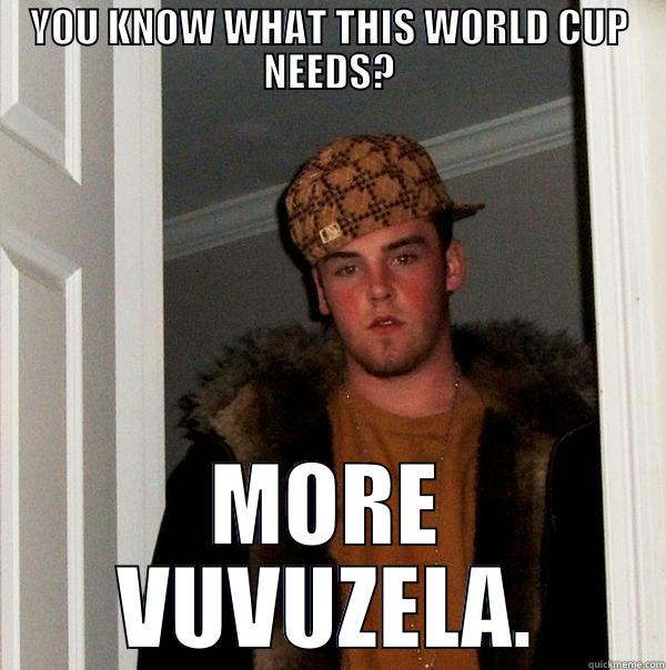 YOU KNOW WHAT THIS WORLD CUP NEEDS? MORE VUVUZELA. Scumbag Steve