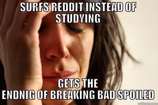 SURFS REDDIT INSTEAD OF STUDYING GETS THE ENDNIG OF BREAKING BAD SPOILED First World Problems