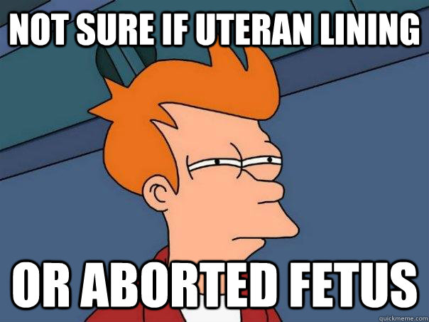 Not sure if uteran lining Or aborted fetus  Futurama Fry