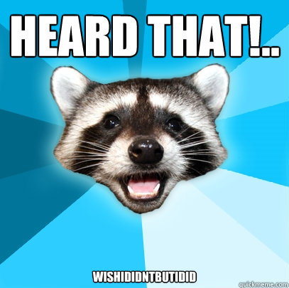 HEARD THAT!.. WISHIDIDNTBUTIDID  Lame Pun Coon