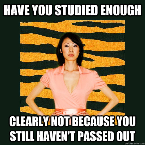 Have you studied enough  Clearly not because you still haven't passed out  Tiger Mom