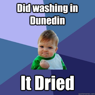 Did washing in Dunedin It Dried  Success Kid