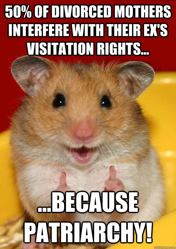 50% of divorced mothers interfere with their ex's visitation rights... ...because Patriarchy!   Rationalization Hamster