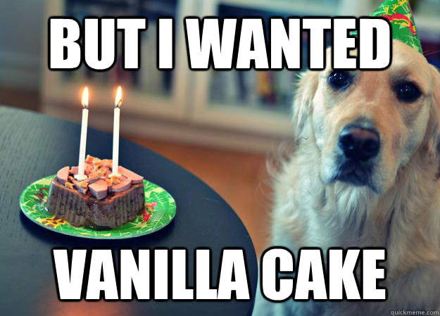 but i wanted vanilla cake  Sad Birthday Dog